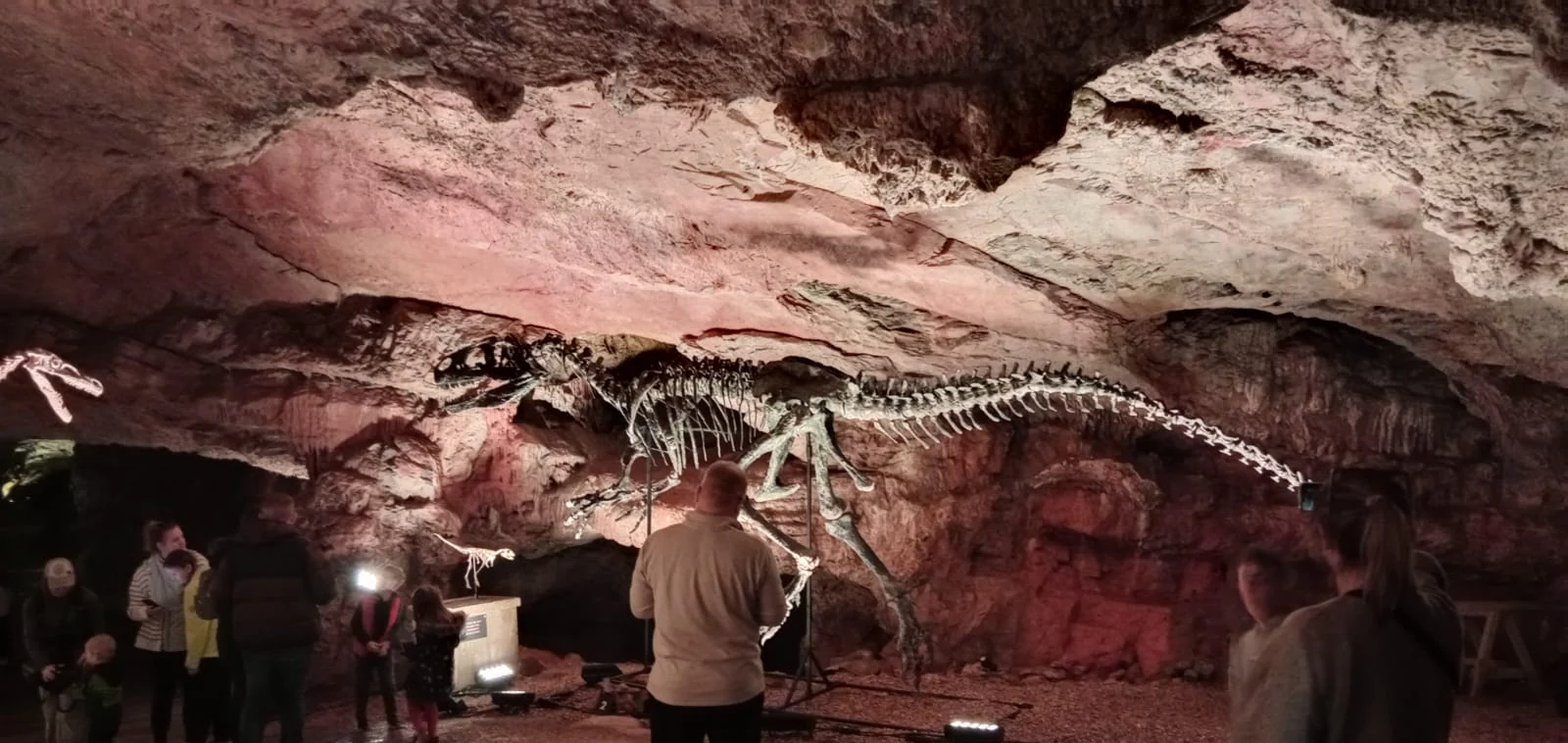 Museum-Grade Prehistoric Masterpieces